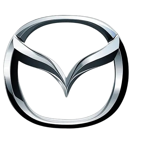 1764144165 oip c1webp 1ebb6cc7451908f0 c